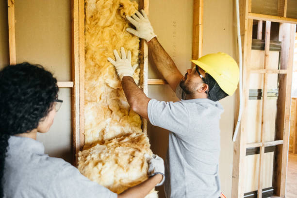 Best Attic Insulation Near Me  in USA